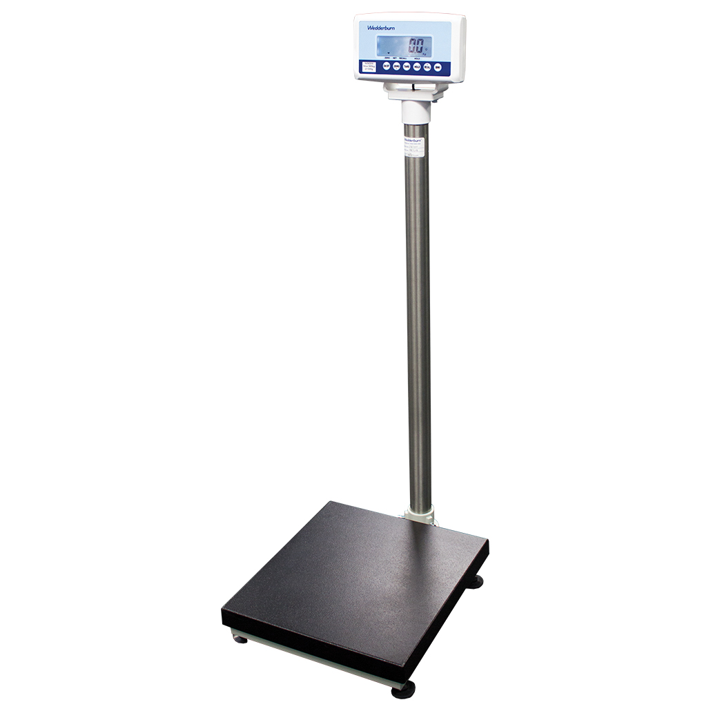 Medical Scales for Weight Management